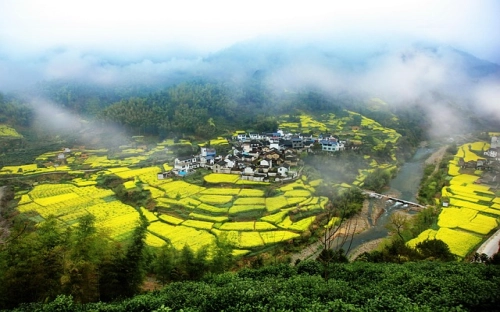 月工作总结开头范文-春林公文网