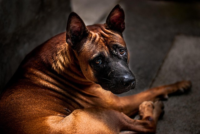 落实主体责任情况汇报