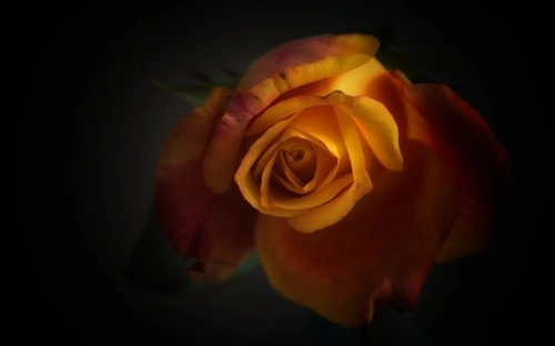 2022乡村振兴示范村建设实施方案最新范文-春林公文网