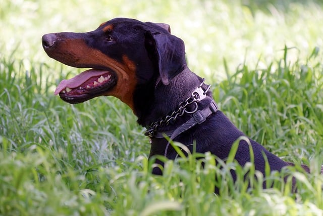 2012年财务会计工作总结及工作计划