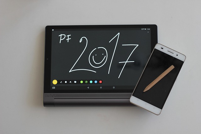 2017年入党申请书【优秀】