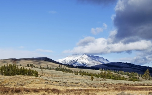 教师节发言稿汇编5篇-春林公文网