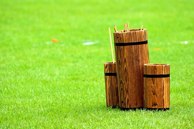 网投简历的四项事