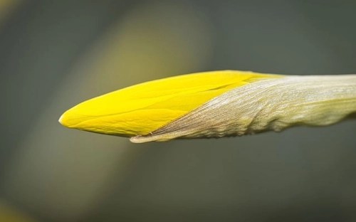 医生党员转正思想汇报2021优秀范文四篇-春林公文网