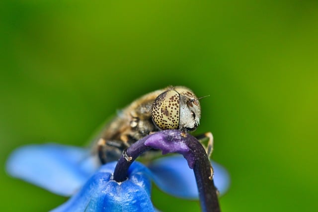 办系统2017年开展作风建设突出问题专项治理总体方案