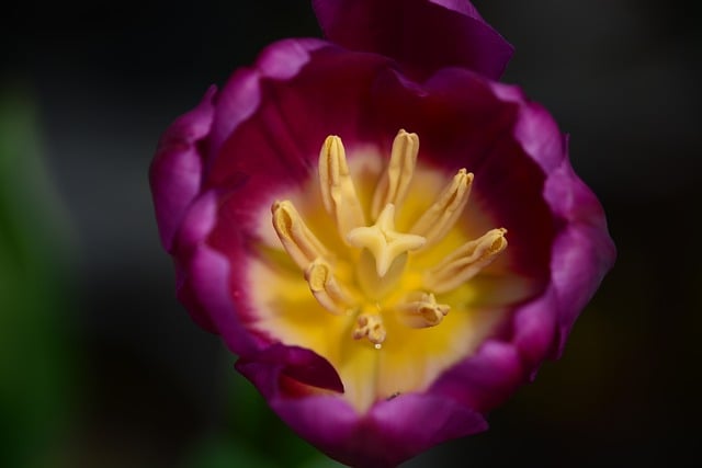 开学第一天问候祝福语