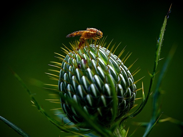 有关五一劳动节心得体会