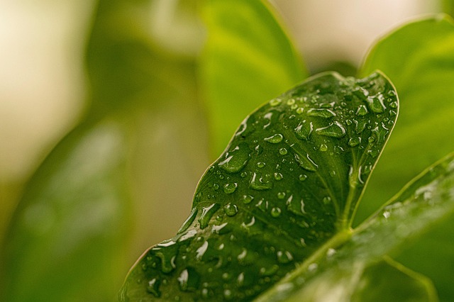 环境综合整治标语大全