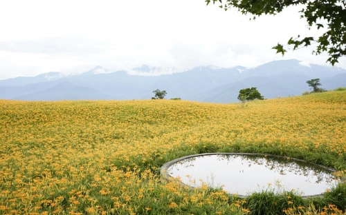 清明节祭扫烈士墓发言稿-春林公文网
