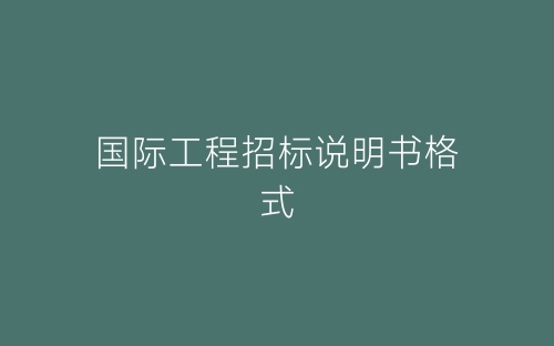 国际工程招标说明书格式-春林公文网
