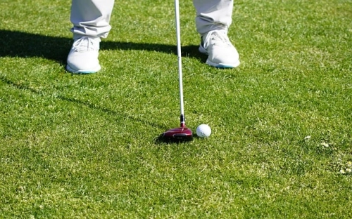 XX年电信工会女工委工作总结-春林公文网