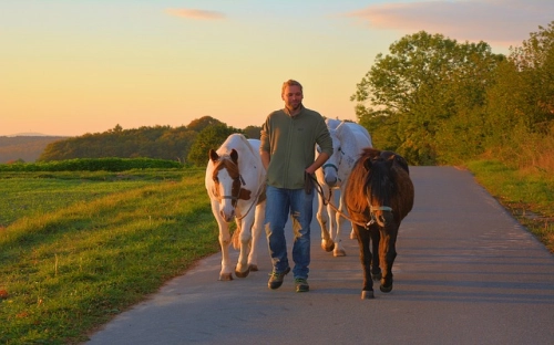 公开选拔考试公文写作知识：述职报告的结构-春林公文网