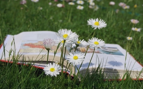 医生入党申请书怎么写-春林公文网