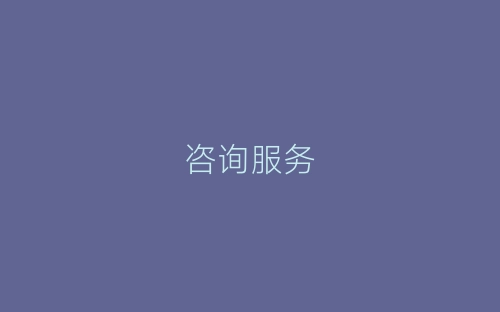 咨询服务-春林公文网