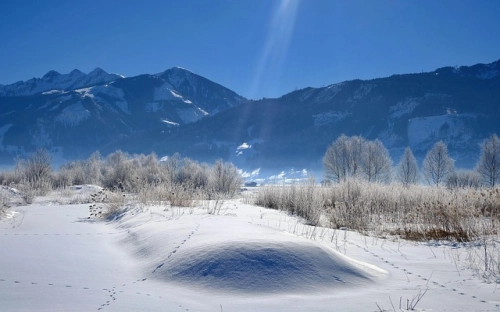 教职工加班管理办法-春林公文网