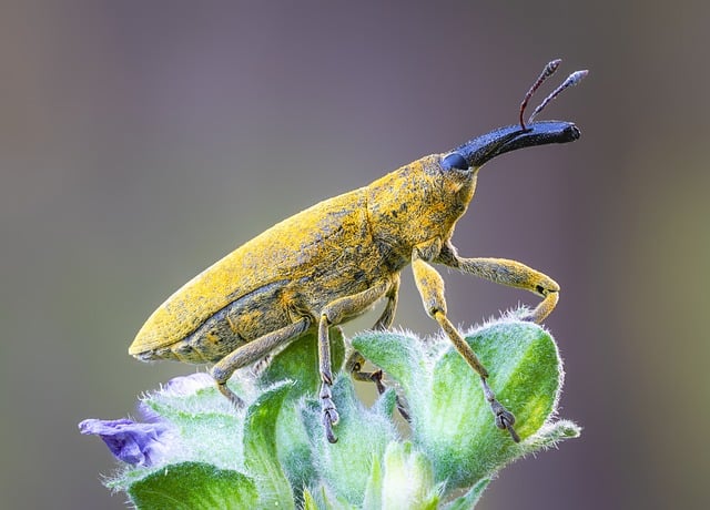 2022大四学生预备党员思想汇报怎么写及范文十篇