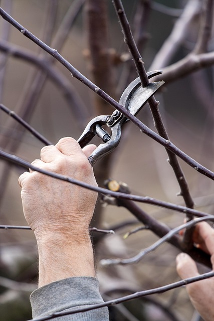 党委书记个人整改措施