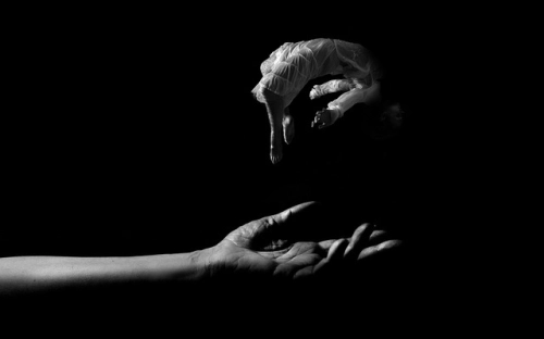 2013年情人节祝福语-春林公文网