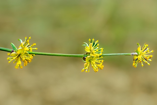 医院药品及疫苗自查报告范文精选3篇2021