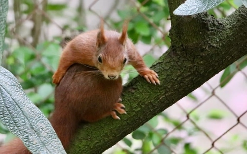 关于办公室工作总结范文汇编六篇-春林公文网