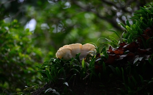 在“三八”国际劳动妇女节95周年暨表彰大会上的讲话-春林公文网