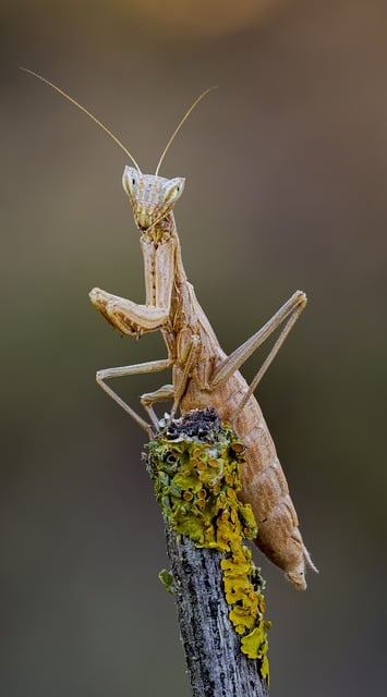 需要知道与领导相处的礼仪