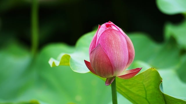 计算机软件许可证协议书（与最终用户直接签订）