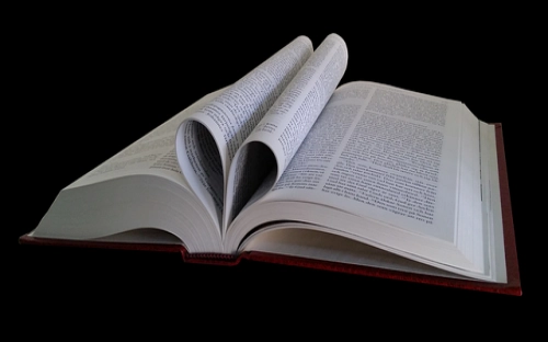 08入党转正申请书-春林公文网