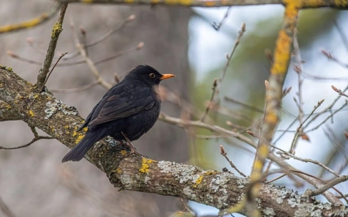 环境综合整治标语大全-春林公文网