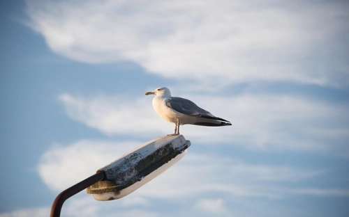 2012年电信企业工会工作总结-春林公文网