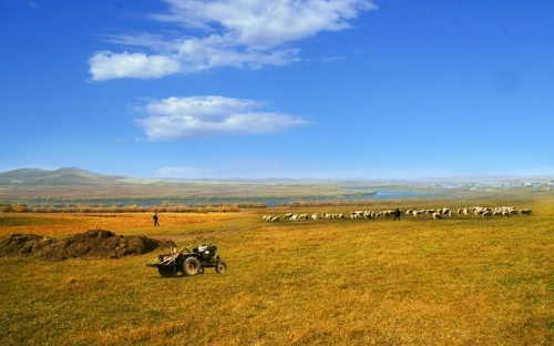 热电公司保持先进性第二阶段安排-春林公文网