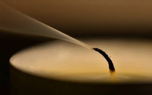 教师节同学发言-春林公文网