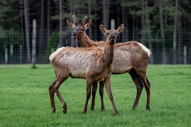 高二班主任工作计划第一学期 高二班主任工作计划范文大全5篇