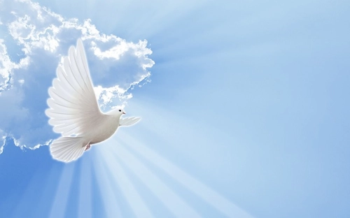 全县“我们的节日·清明”主题实践活动方案-春林公文网