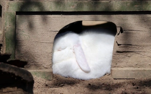 共产党员先进性教育工作大总结-春林公文网