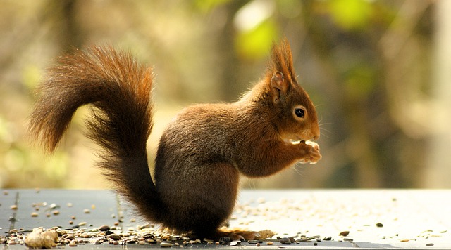 关于认识错误思想汇报