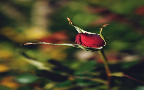 新疆济乌工程考察报告-春林公文网