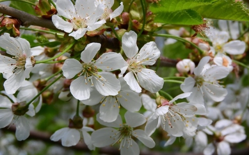 在全县庆“五一”暨劳模表彰大会上的讲话-春林公文网