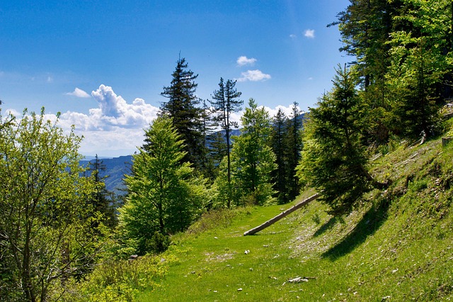 党员先进性整改措施