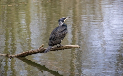 医务工作者思想汇报 医务工作者思想汇报2021积极分子-春林公文网