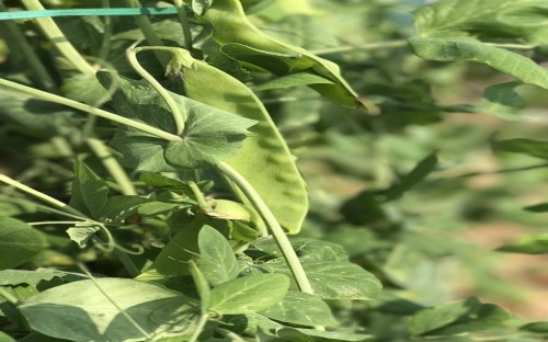 外贸信函:商务书信范例(四)-春林公文网
