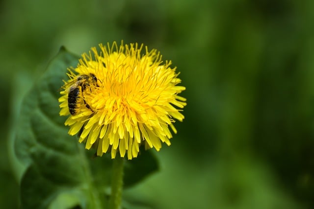 农村集体土地使用权合理规范的流转