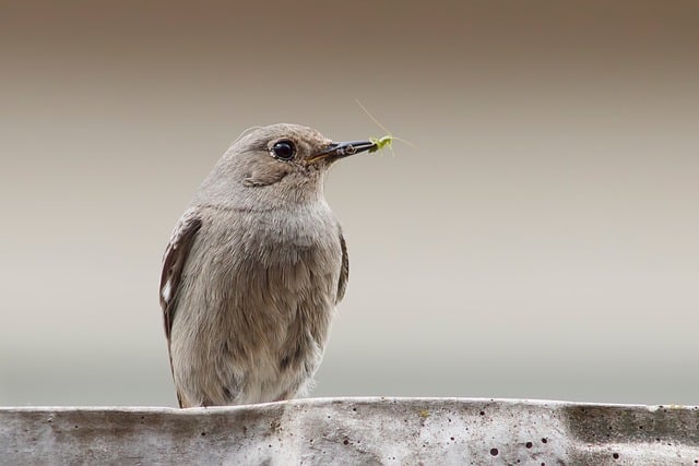 在全区安全生产暨消防安全讲话