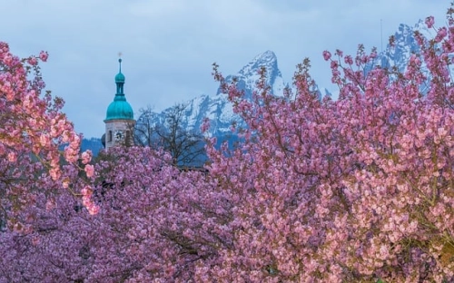 大学生打工调查报告-春林公文网