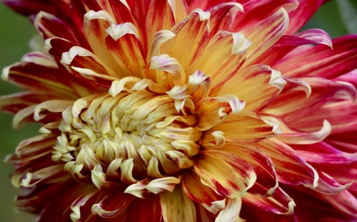 从严治党整改措施范文-春林公文网