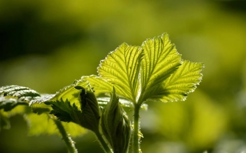 2016今冬明春消防安全宣传标语-春林公文网