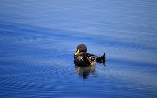 学校财务处年终总结报告范例2篇-春林公文网