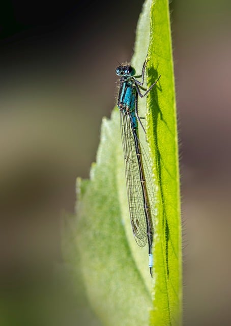 学前教育三年行动计划落实情况调研报告