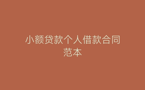 小额贷款个人借款合同范本-春林公文网