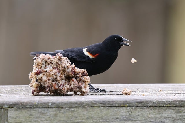 口腔医学院工会2004年工作计划